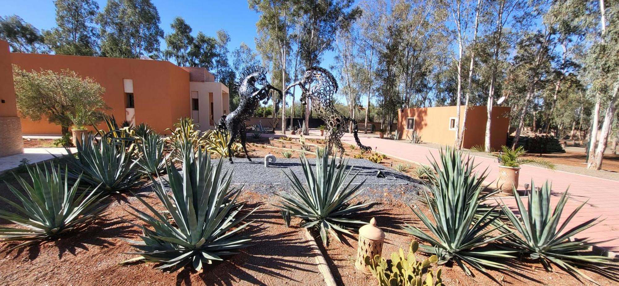 Le Jardin De Jeanne Βίλα Μαρακές Εξωτερικό φωτογραφία